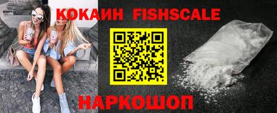индика Гусев