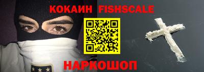 индика Гусев