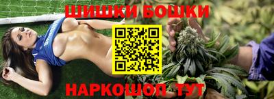 индика Гусев