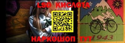 индика Гусев