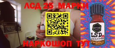 индика Гусев