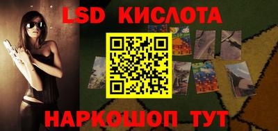 индика Гусев