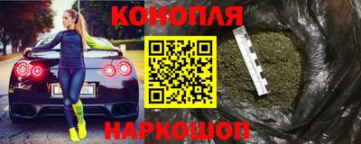 индика Гусев
