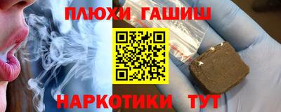 индика Гусев